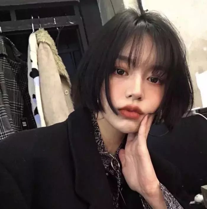 鲨与鲸